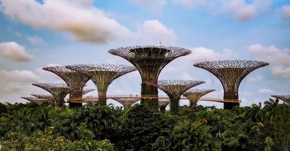 Explore the iconic Supertree Grove in Singapore's Gardens by the Bay, surrounded by lush greenery.
