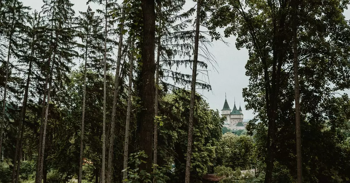 A serene view of a castle nestled behind lush forest trees in Slovakian countryside.