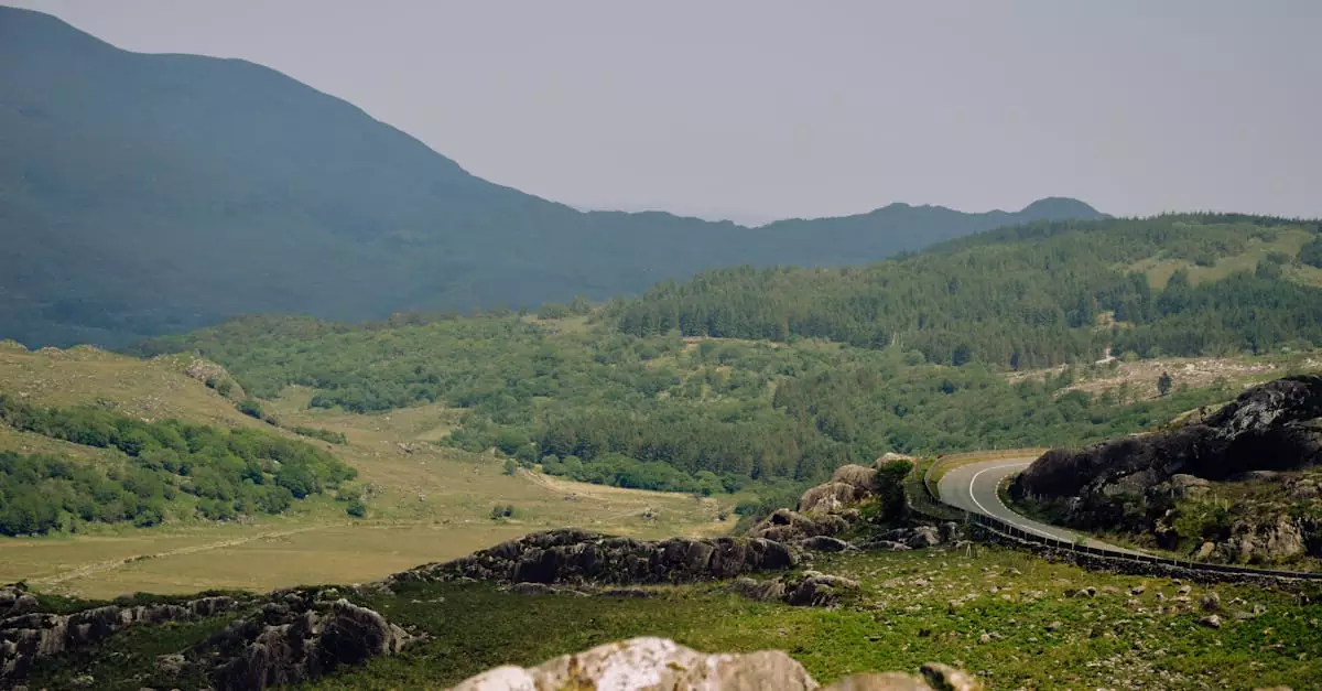 Serene landscape with winding road through lush greenery and mountains in Killarney National Park, Ireland.