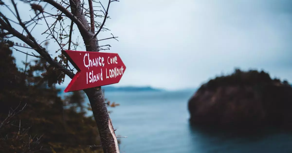 Red arrow signboard attached to leafless tree trunk with Chance Cove Island lookout inscription near rocky ocean shore on cloudy day