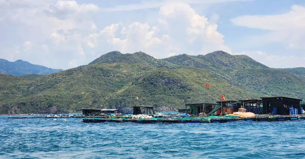 Aerial view of a floating fish farm with lush hills in the background under a clear blue sky in Vietnam.