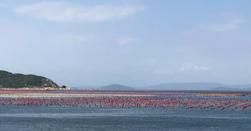 Best Island Seafood Destinations: Top 7 Picks 2 Colorful oyster farms stretching across the serene coastal waters, under a clear blue sky.