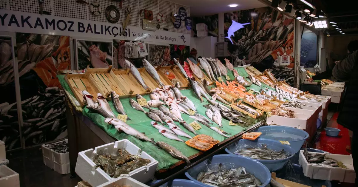 Colorful seafood display at an Istanbul market showcasing various fresh fish and seafood.