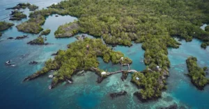 Stunning aerial shot of Maluku Islands' vibrant greenery and blue waters.