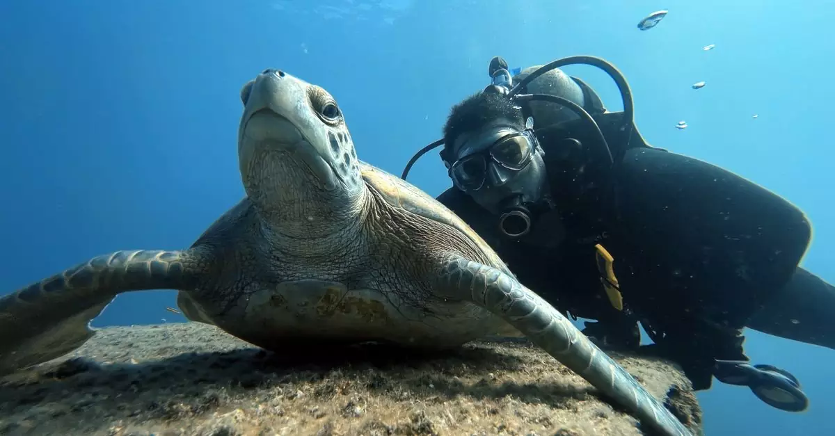 A scuba diver swims alongside a sea turtle in a vibrant underwater scene.