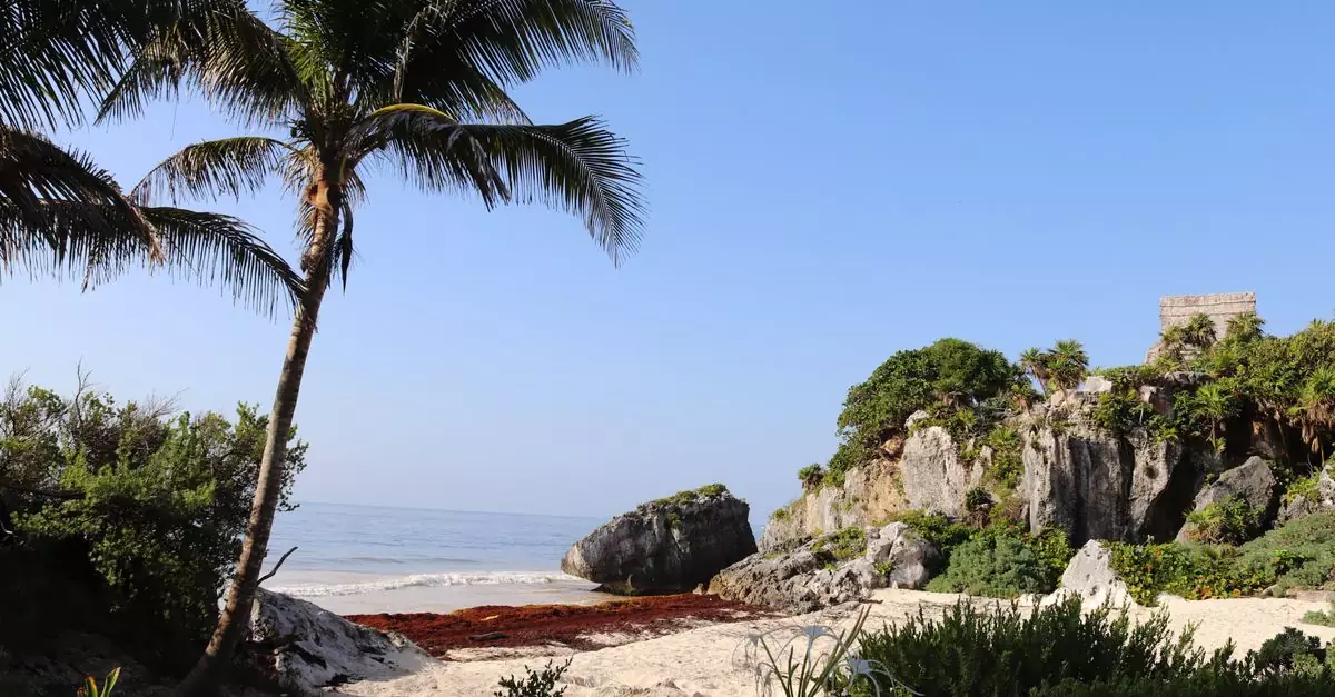 Scenic view of Tulum beach with palm tree and rocky coastline, perfect tropical vacation spot.
