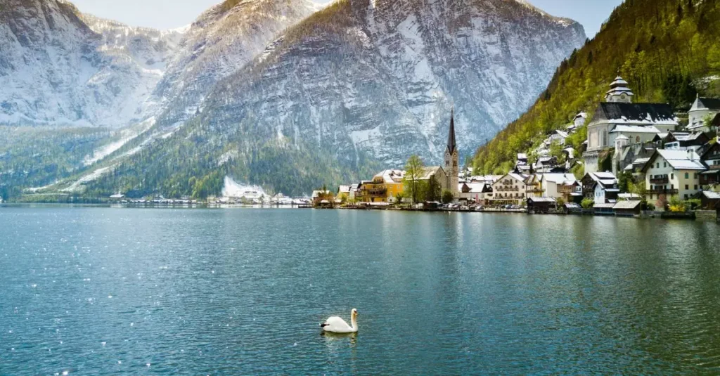Best Mountain Lakes in the World: A Traveler's Guide 2 Scenic view of a swan on Hallstätter See with the historic town of Hallstatt and the snow-capped Alps.