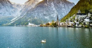 Scenic view of a swan on Hallstätter See with the historic town of Hallstatt and the snow-capped Alps.