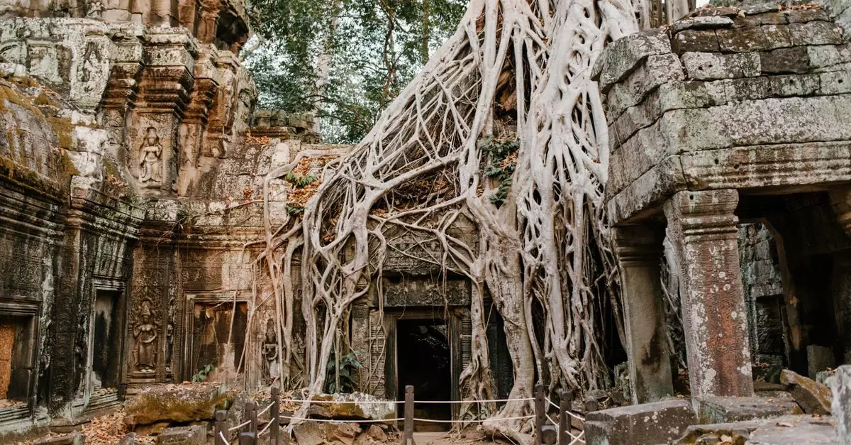 Ancient Ta Prohm temple ruins entangled with tree roots in Angkor, Cambodia, showcasing historical beauty.