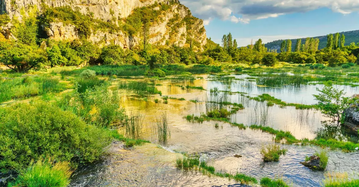 Lush landscape with rocks, trees, and water at Krka National Park, Croatia.
