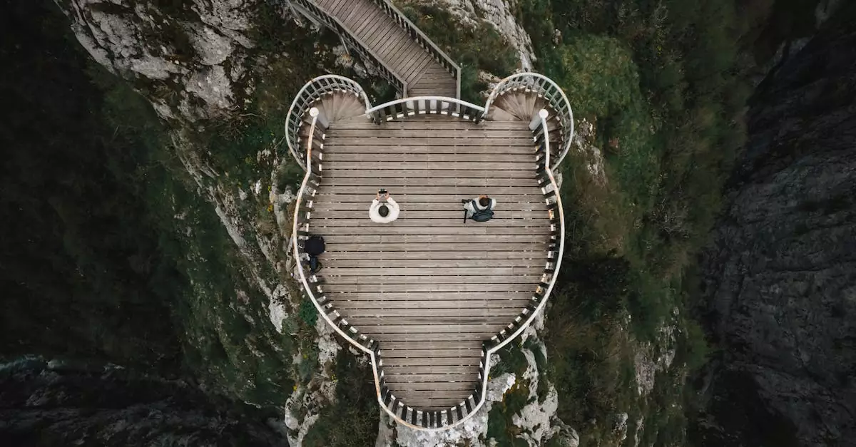 Drone shot of a unique wooden terrace shaped like a bear's head in Pınarbaşı, Kastamonu, T&uuml;rkiye.