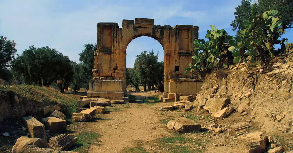 A historical Roman archway amidst ancient ruins in Tunisia, surrounded by nature.