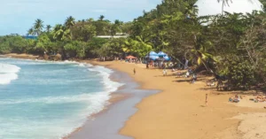 Beautiful sandy beach with palm trees and waves in Rincón, Puerto Rico, perfect for vacation and relaxation.