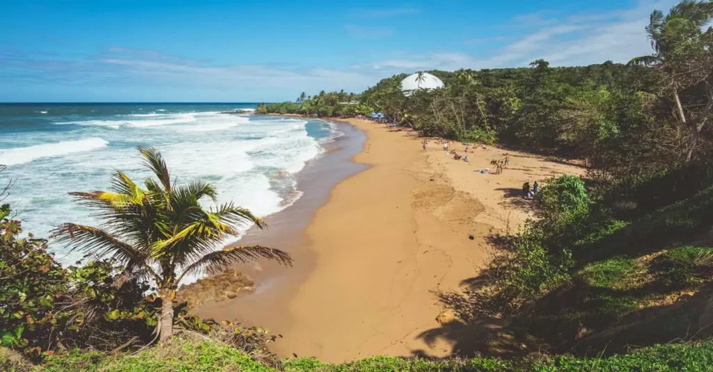 Best Puerto Rico Resorts: Your Island Getaway Guide 2 Captured from a lush vantage, this beautiful sandy beach in Rincón, Puerto Rico, offers a tropical escape.