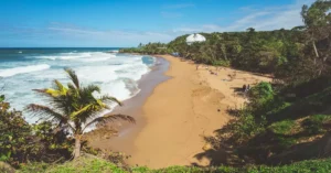 Captured from a lush vantage, this beautiful sandy beach in Rincón, Puerto Rico, offers a tropical escape.