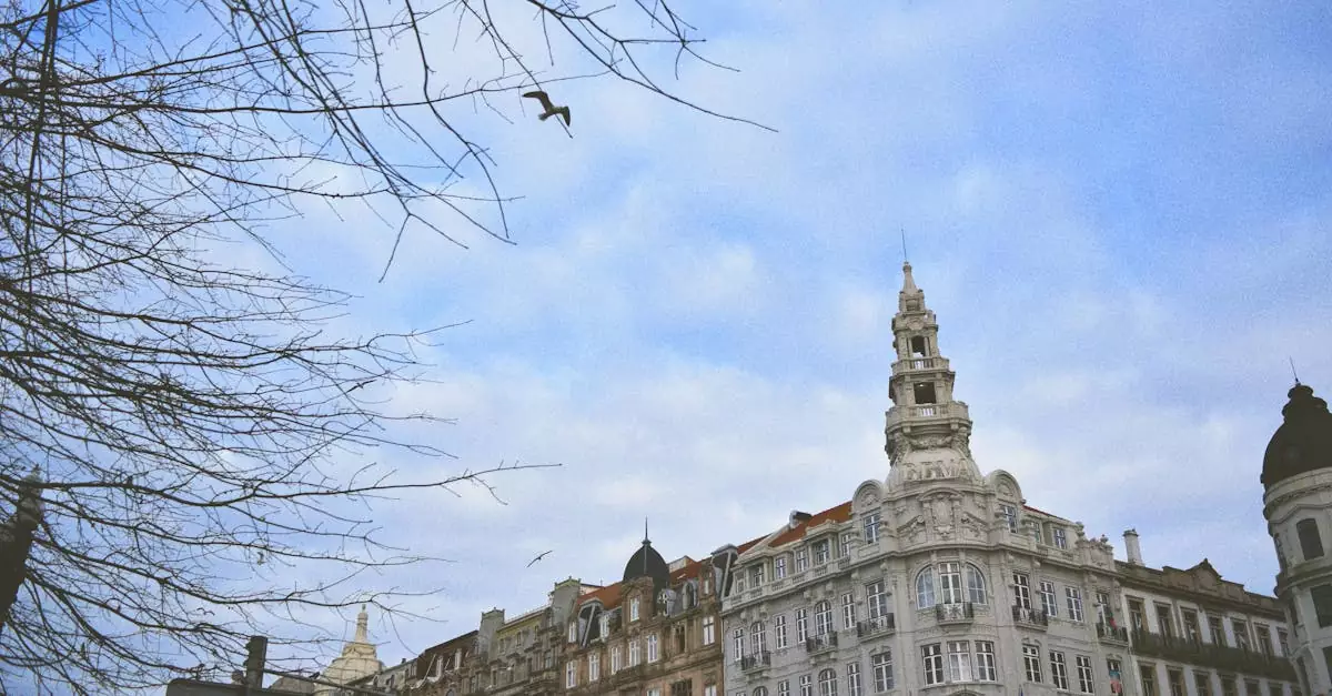 Beautiful historic buildings in Porto with birds flying against a blue sky.