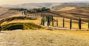A scenic road winds through Tuscany's golden fields and cypress trees at sunset.