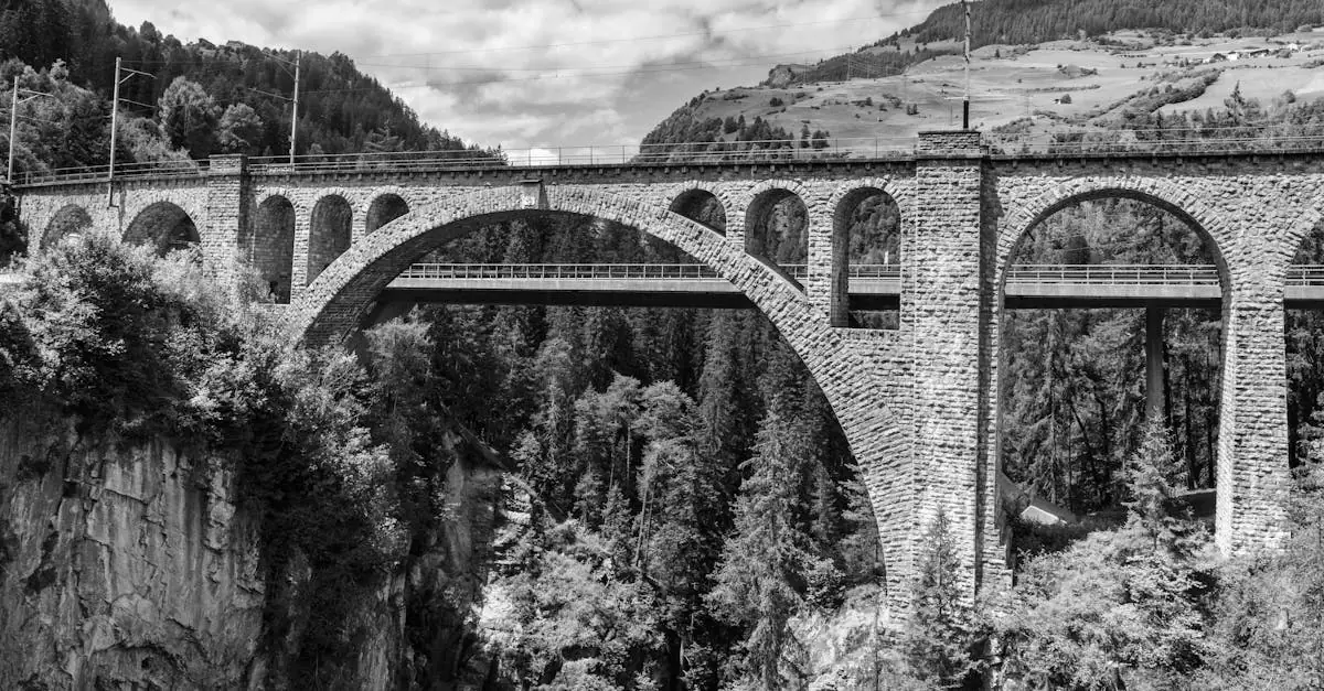 A black and white photograph of a historic arched stone bridge over a lush valley.