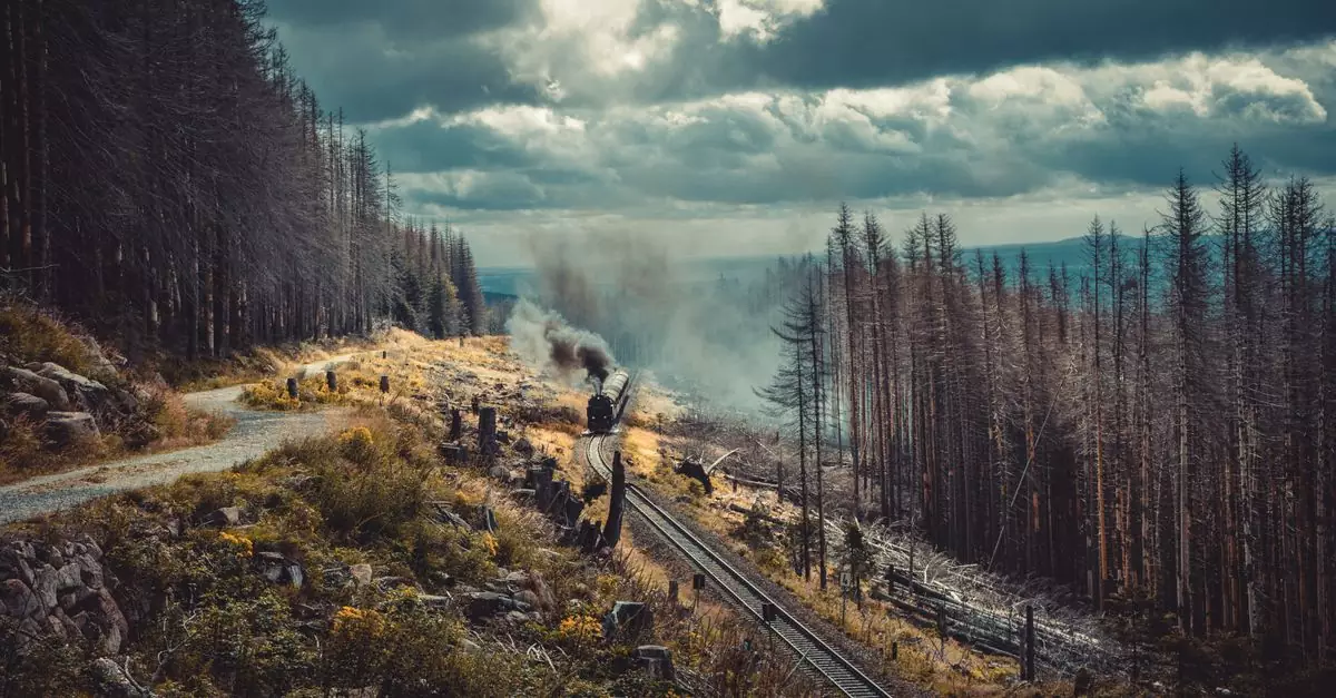 Steam train travels through misty Harz forest, offering a scenic journey amidst dark clouds.