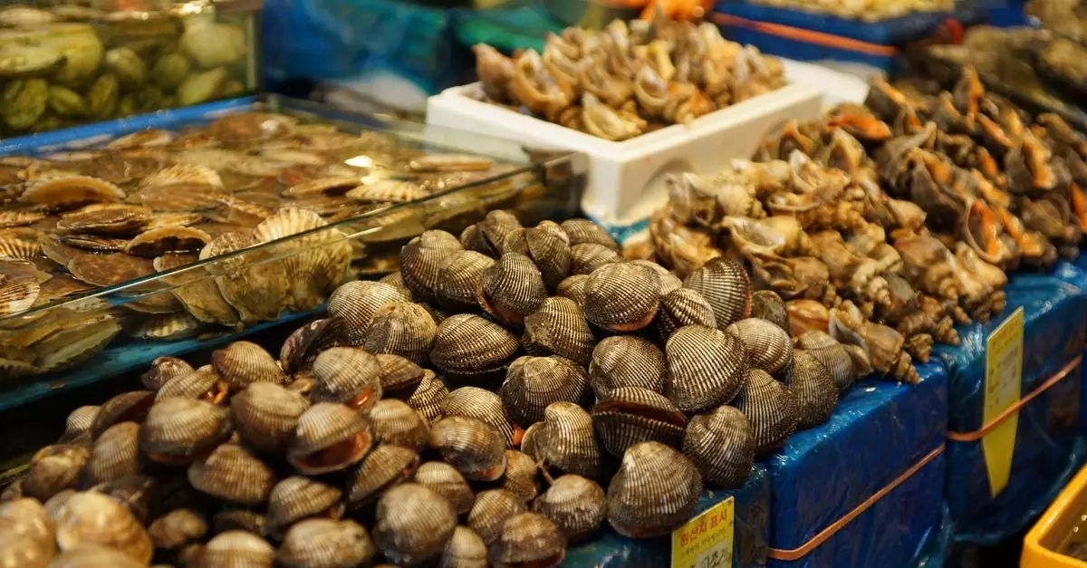 Assorted shellfish and seafood displayed at a bustling Korean wet market in Hoengseong-gun.
