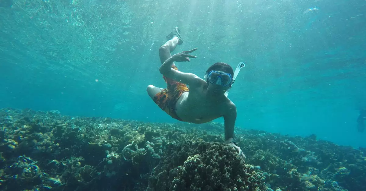 Experience the thrill of snorkeling above vibrant coral reefs in North Maluku, Indonesia.