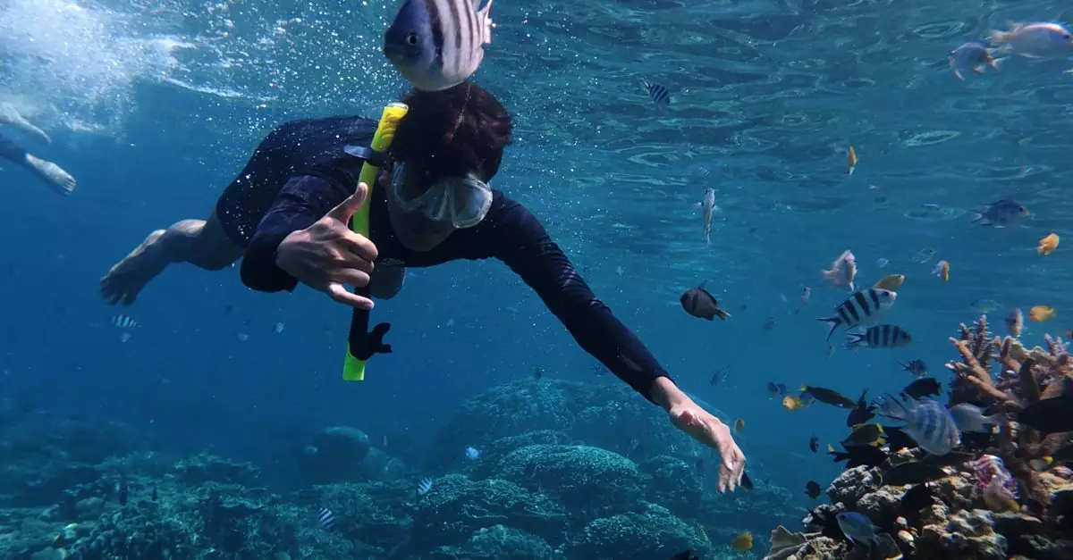 Explore marine life while snorkeling in the vibrant waters of Jawa Tengah, Indonesia.