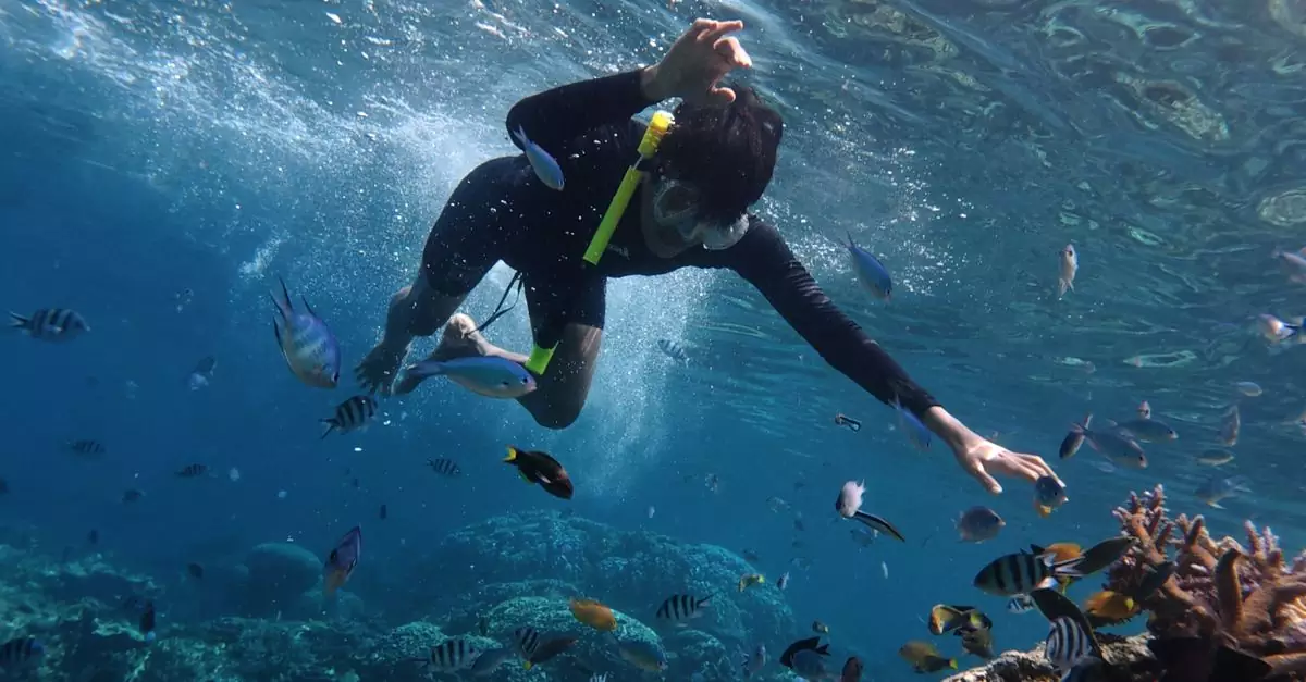 Experience snorkeling with colorful fish in the clear waters of Jawa Tengah, Indonesia.