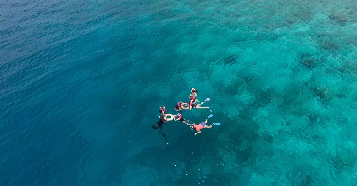 Aerial shot of a group snorkeling in clear turquoise waters near Dhonfanu, Maldives.