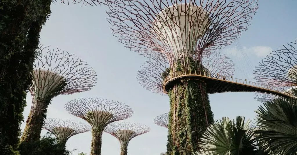 Best Sustainable Travel Destinations in South America 2 Majestic view of Supertree Grove at Gardens by the Bay in Singapore, showcasing unique architecture and nature.