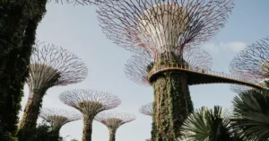 Majestic view of Supertree Grove at Gardens by the Bay in Singapore, showcasing unique architecture and nature.