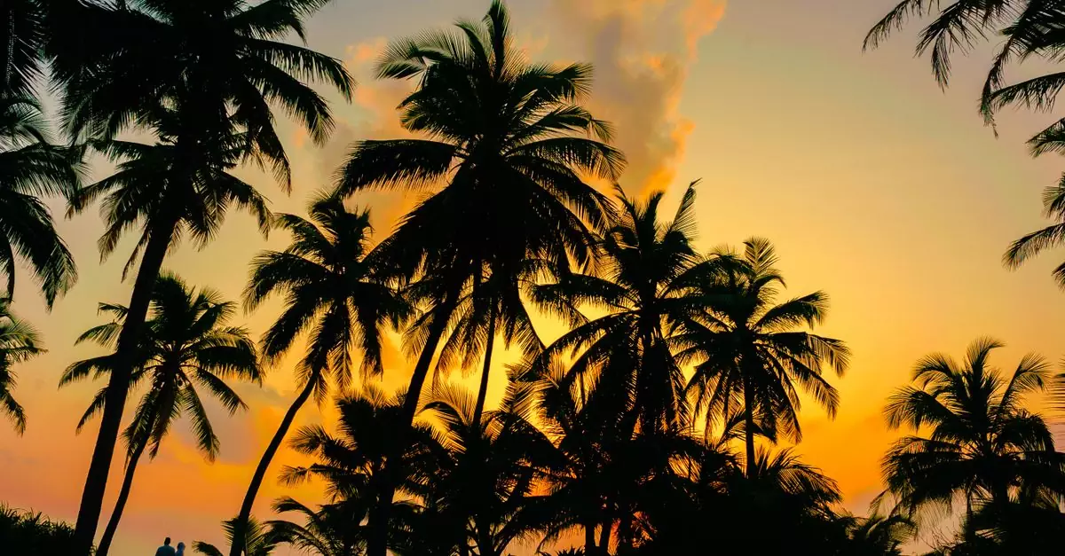 Silhouetted palm trees against a vibrant tropical sunset with a couple on a romantic beach walk.