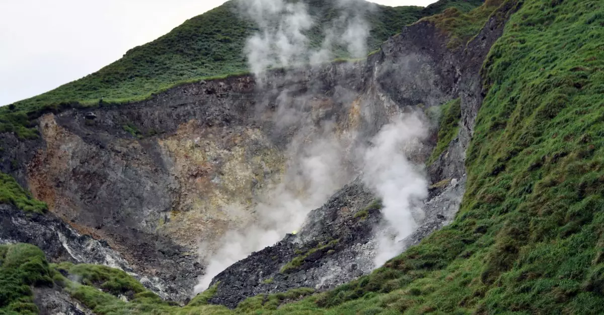 Smoking volcanic crater in lush Yangmingshan National Park, Taiwan, showcasing natural beauty and geothermal activity.