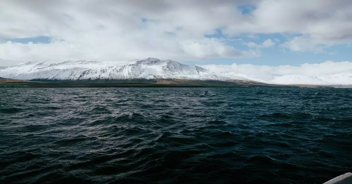 A serene view of snow-capped mountains and a fjord in &Aacute;rsk&oacute;gssandur, Iceland.