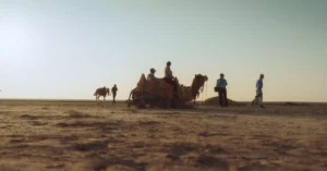 A scenic camel ride at sunset on a desert landscape in Ahmedabad, Gujarat, India.