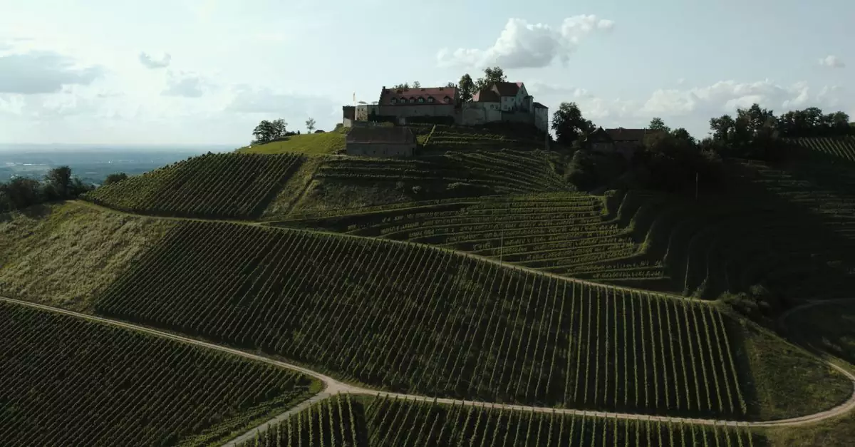 Stunning drone view of Schloss Staufenberg surrounded by lush vineyards in Germany.