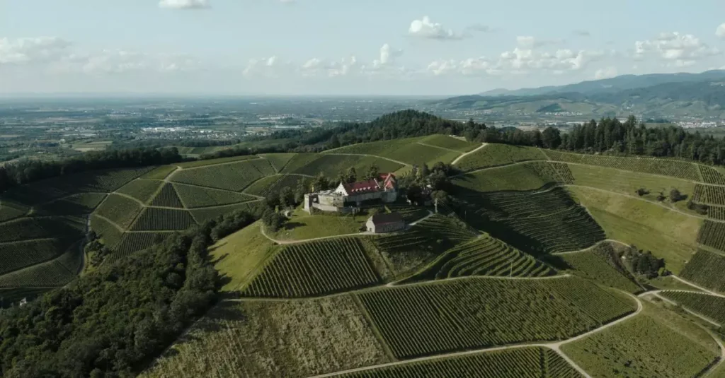 Drone shot of Schloss Staufenberg amidst lush vineyards in Offenburg, Germany.
