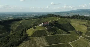 Drone shot of Schloss Staufenberg amidst lush vineyards in Offenburg, Germany.