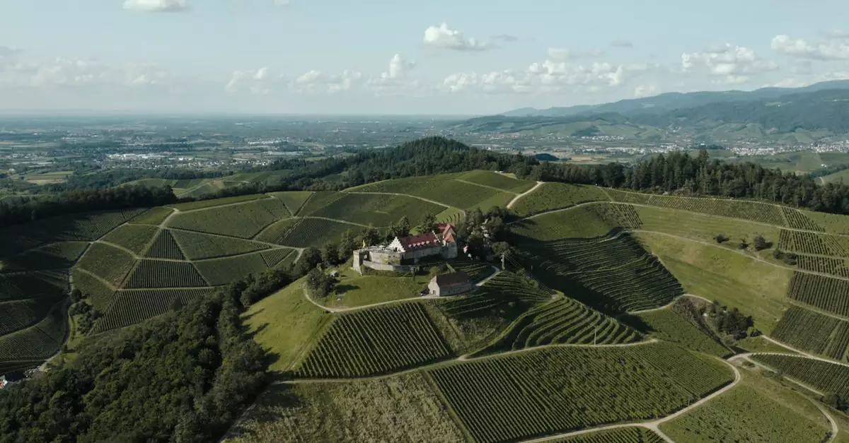 A scenic aerial view of Schloss Staufenberg and surrounding vineyards in Offenburg, Germany.