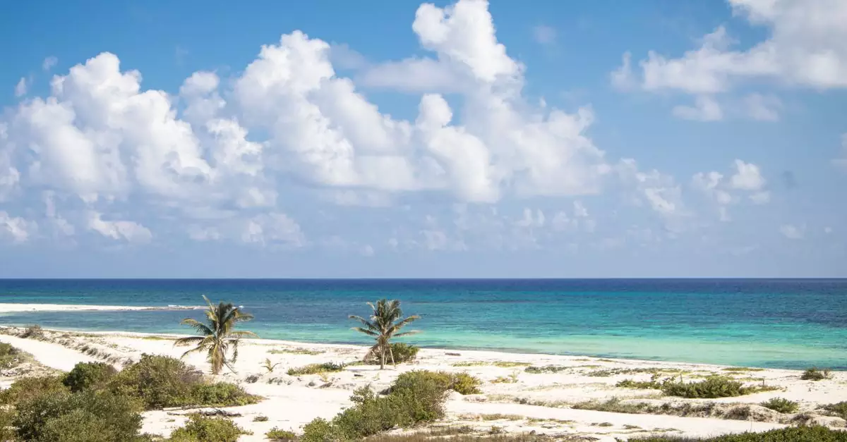 A breathtaking view of Cozumel's beach with azure waters and clear skies, ideal for travel inspiration.