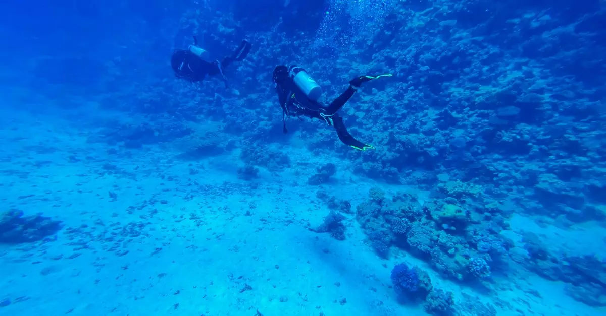 Two scuba divers explore a vibrant coral reef underwater, surrounded by marine life and bubbles.
