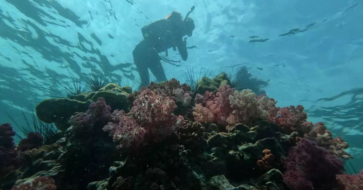 A scuba diver explores a vibrant coral reef underwater, showcasing marine biodiversity.