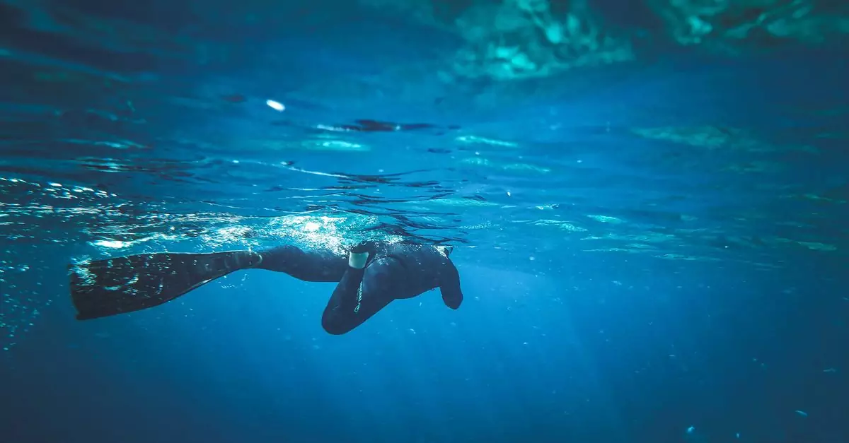 A diver in black wetsuit and fins explores the ocean depths with sunlight filtering through the water.