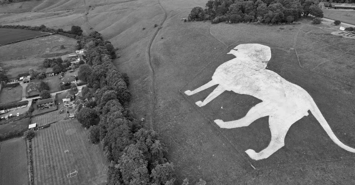 Aerial photograph of Whipsnade White Lion chalk figure, surrounded by lush countryside.