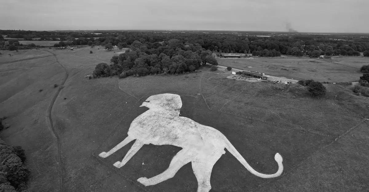 Black and white aerial photo of the Dunstable Chalk Lion in England's countryside.