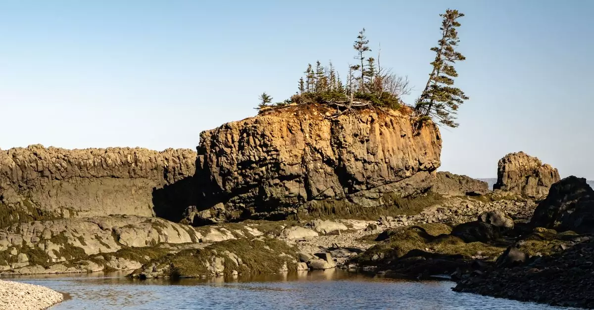 Explore the rugged coastal beauty of Nova Scotia's cliffs and tidal pools at low tide.