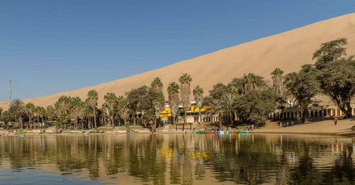 Stunning view of Huacachina oasis with lush palm trees and sand dunes under a clear sky.