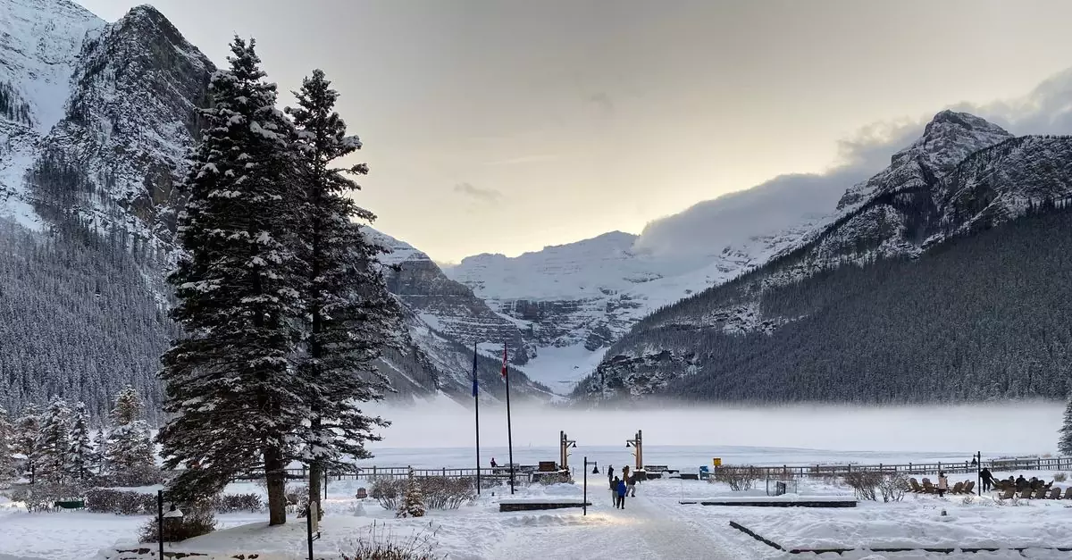 Scenic winter view of Lake Louise with snow-covered mountains and pine trees.