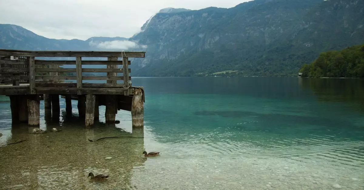 Tranquil scene at Lake Bohinj, Slovenia with ducks and mountains in the distance.