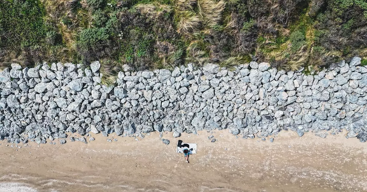 Aerial shot of a rocky beach in County Dublin, Ireland, with a lone visitor and lush greenery.