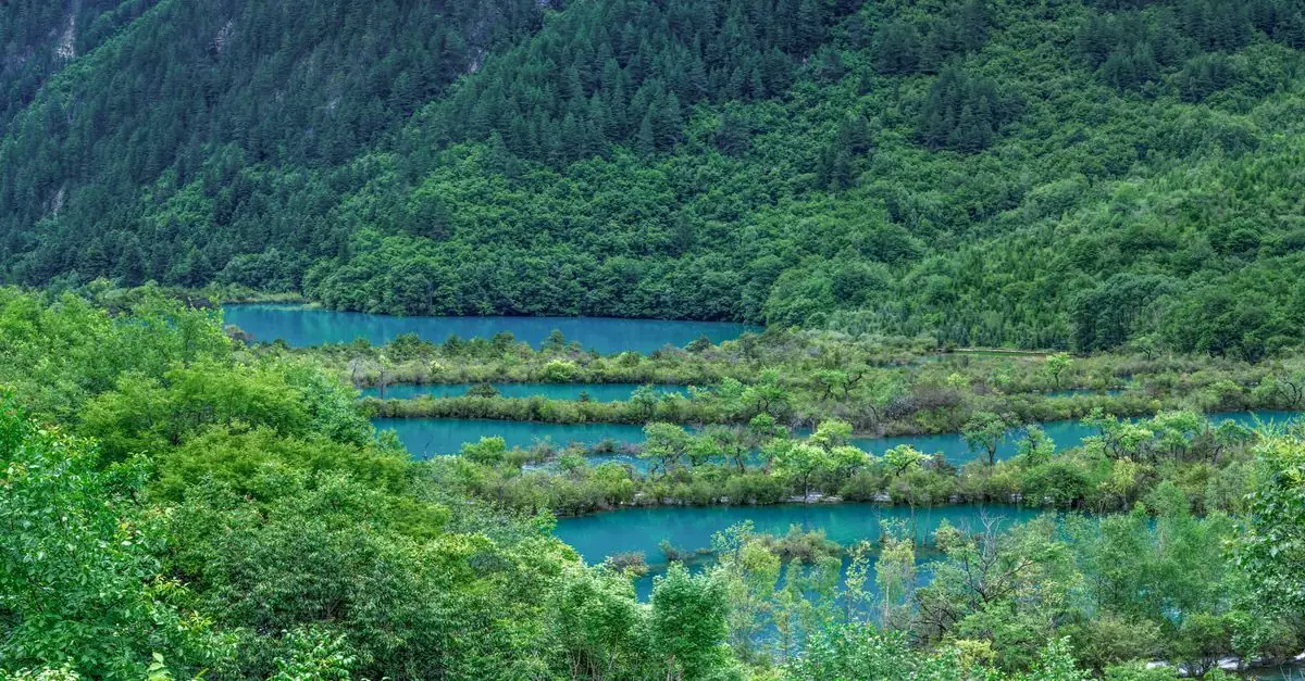Lush greenery surrounding vibrant turquoise lakes in Jiuzhaigou Valley, China.